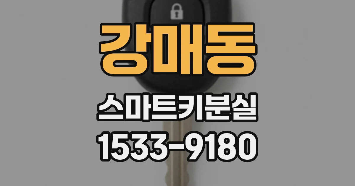 강매동 스마트키분실