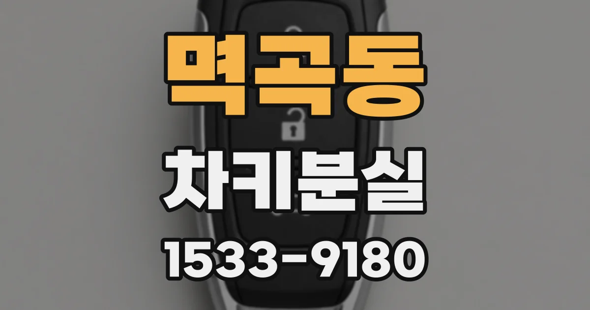 멱곡동 차키분실