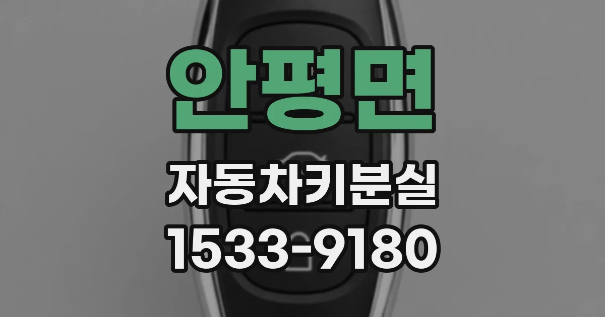 안평면 자동차키분실