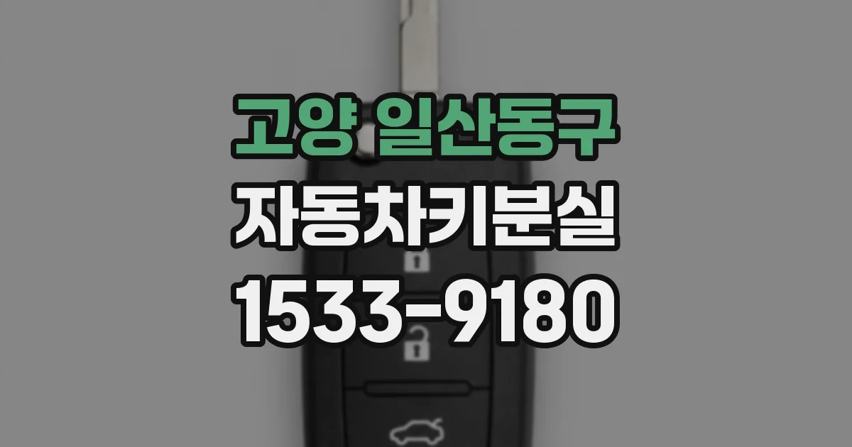 고양 일산동구 자동차키분실