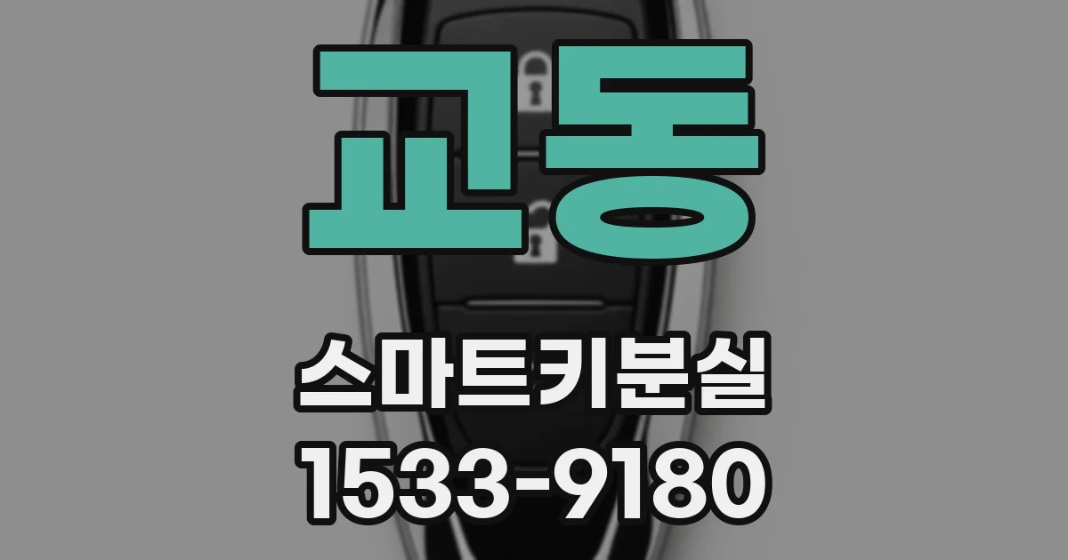 교동 스마트키분실