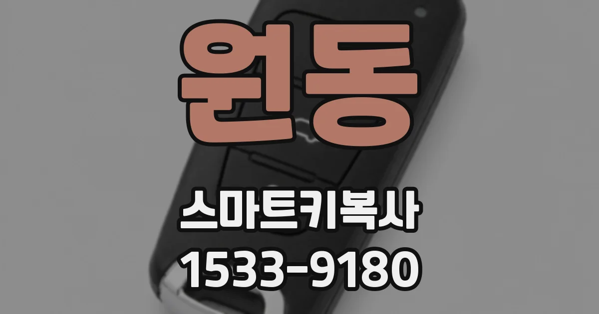 원동 스마트키복사