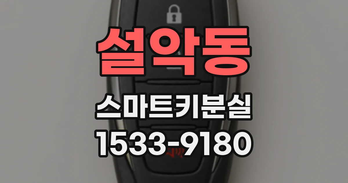 설악동 스마트키분실