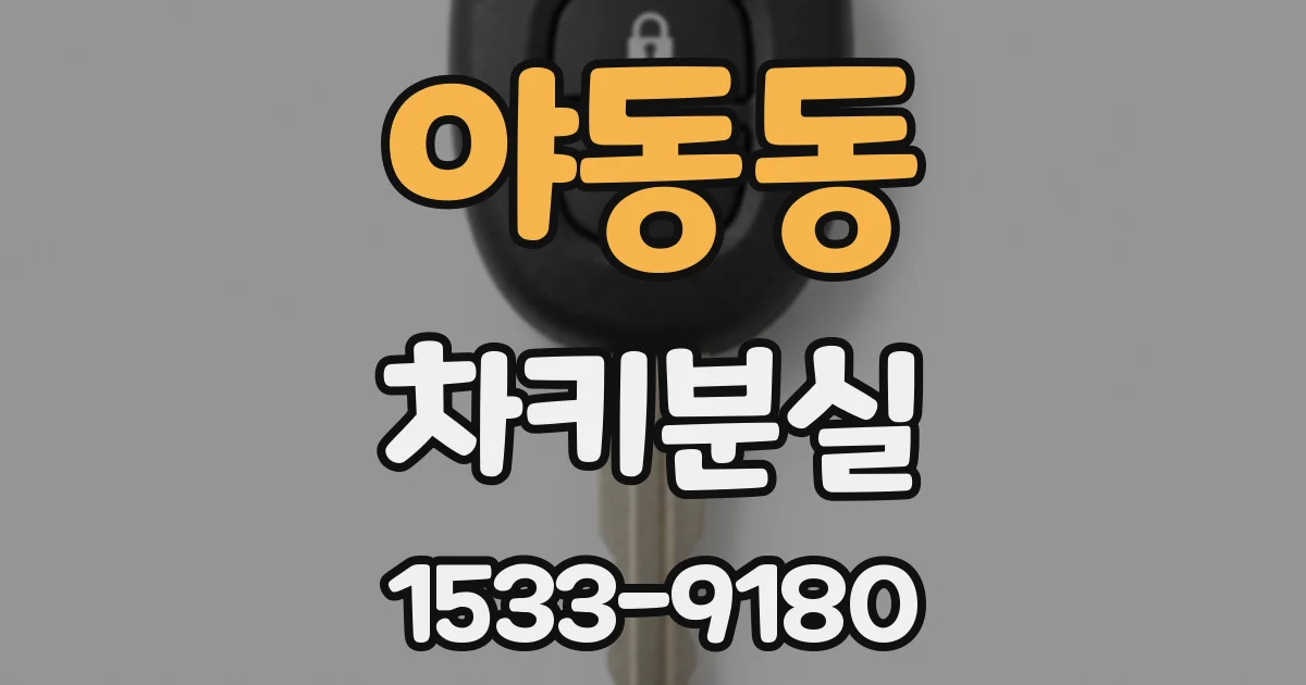 야동동 차키분실