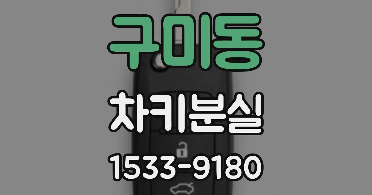 구미동 차키분실