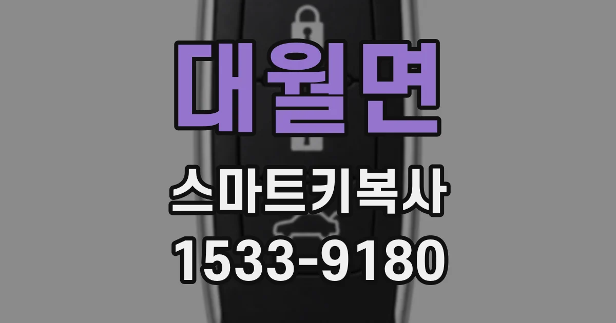 대월면 스마트키복사