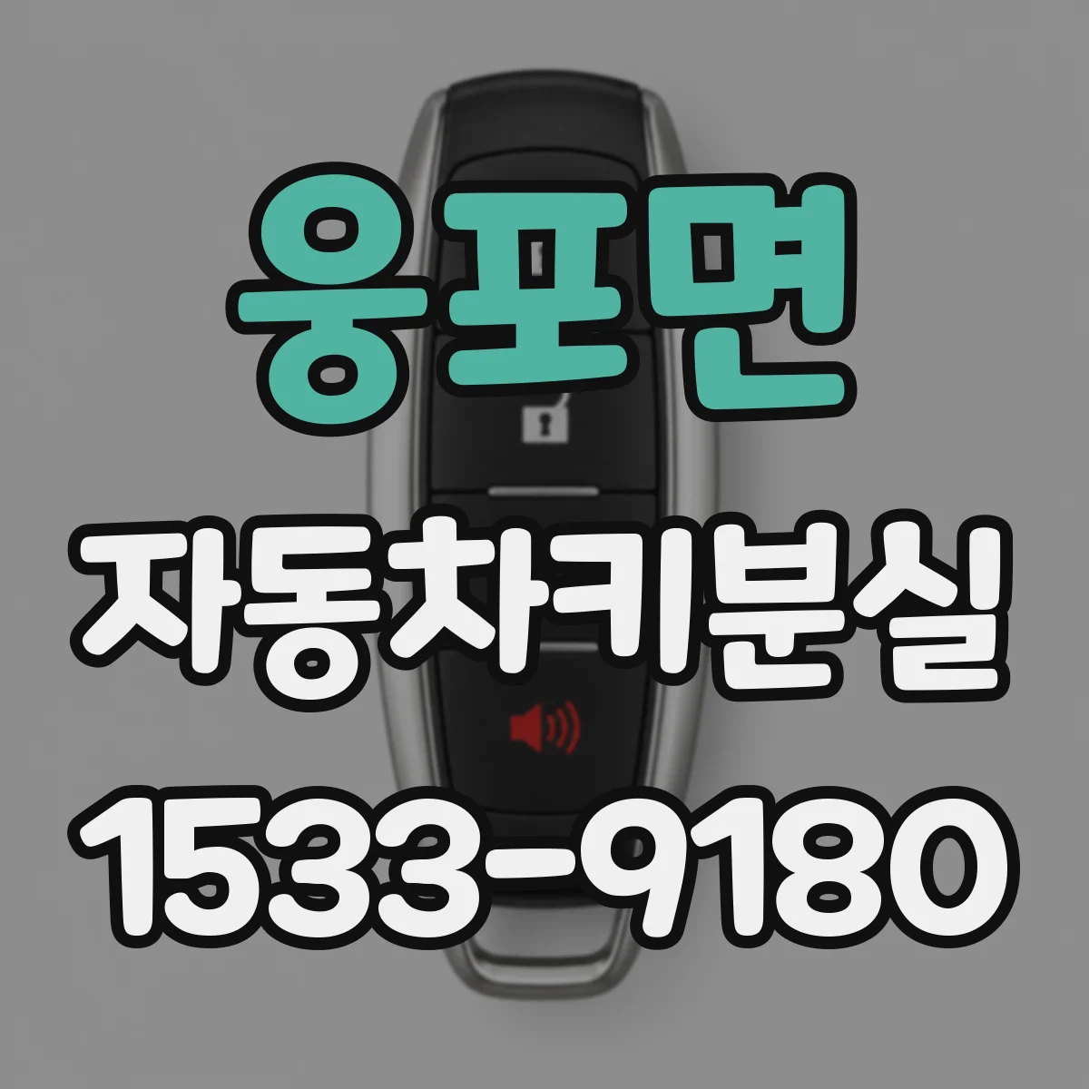 웅포면 자동차키분실