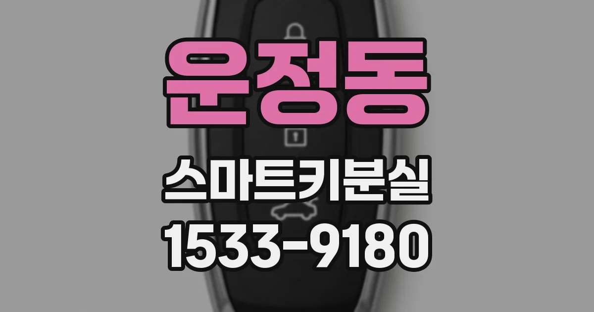 운정동 스마트키분실