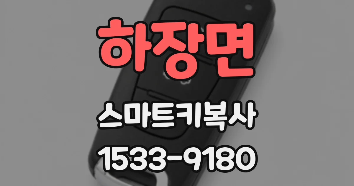 하장면 스마트키복사