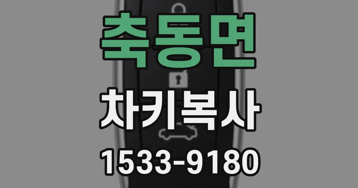축동면 차키복사