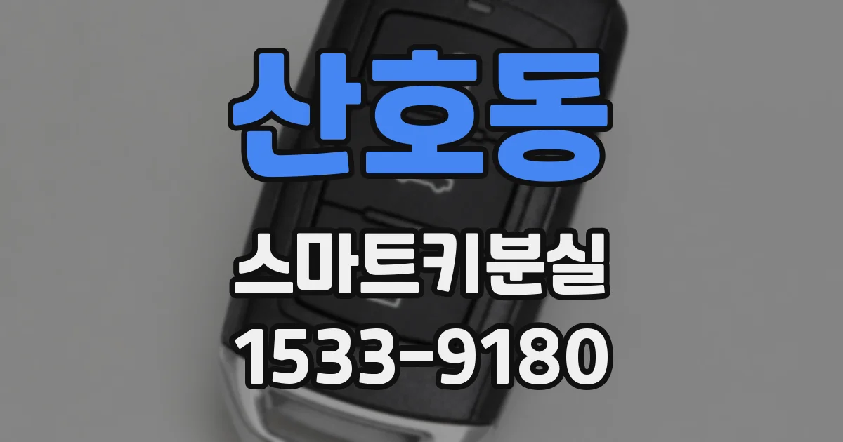산호동 스마트키분실