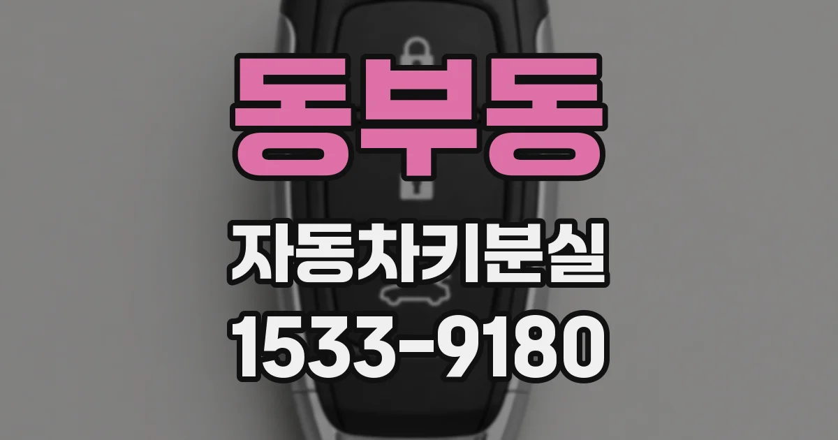 동부동 자동차키분실