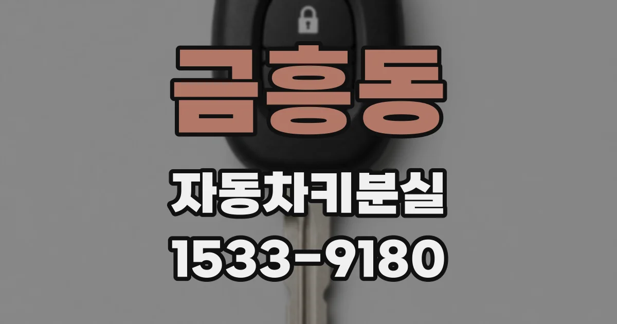 금흥동 자동차키분실