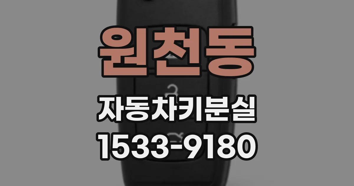 원천동 자동차키분실