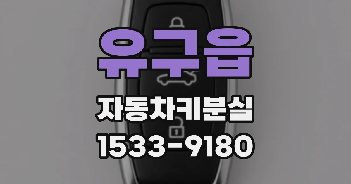 유구읍 자동차키분실