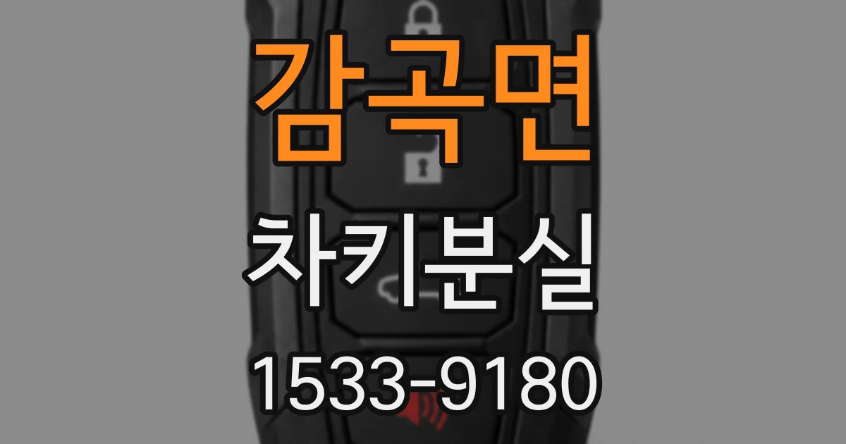 감곡면 차키분실