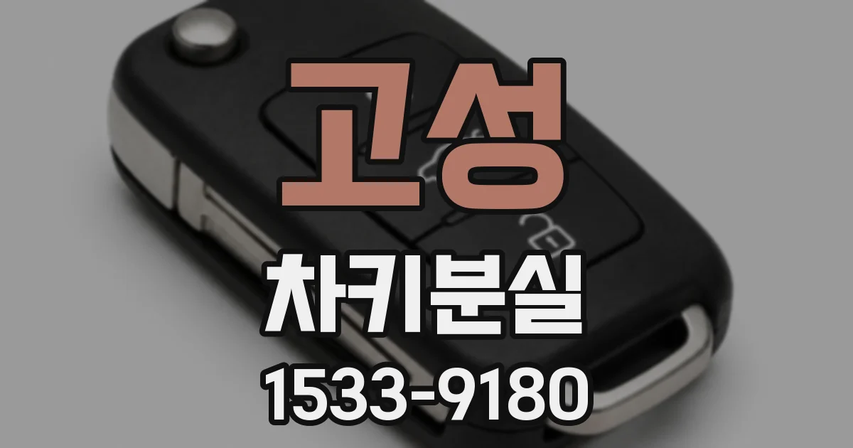 고성 차키분실