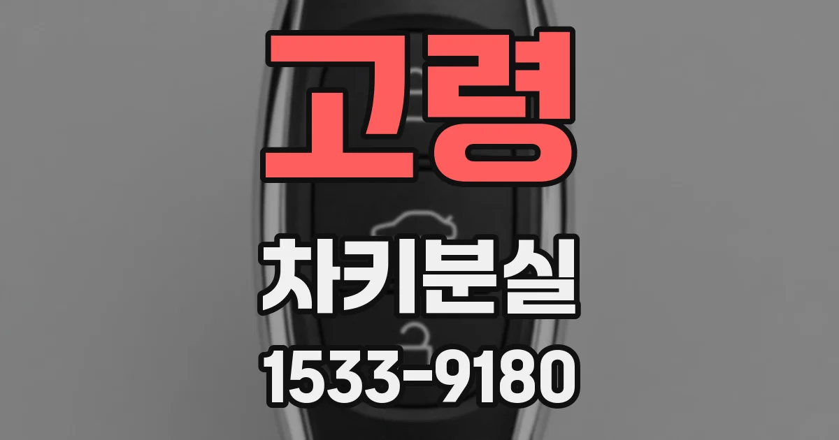 고령 차키분실