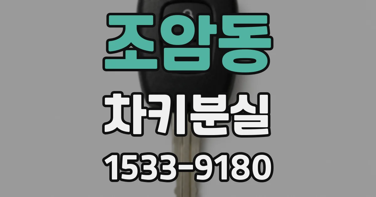 조암동 차키분실