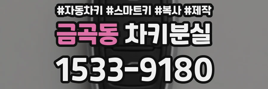 금곡동 차키분실