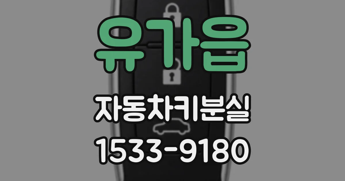 유가읍 자동차키분실