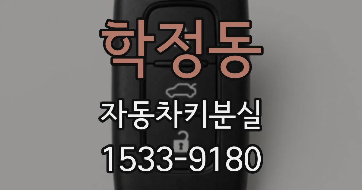 학정동 자동차키분실