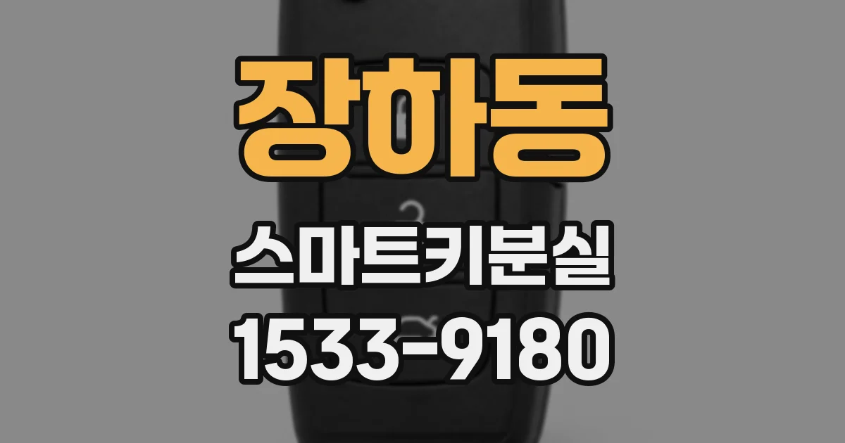 장하동 스마트키분실