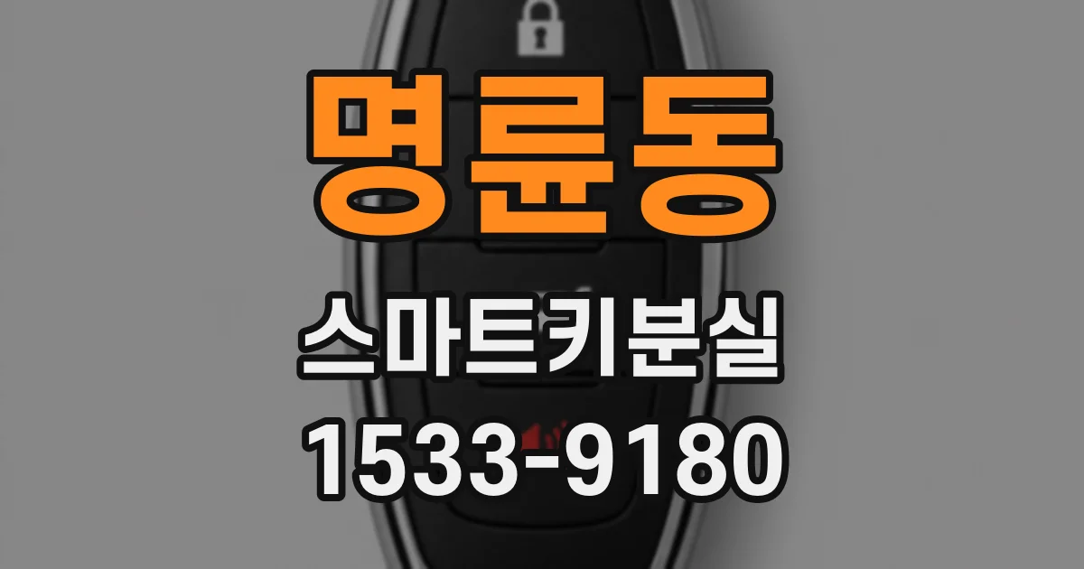 명륜동 스마트키분실