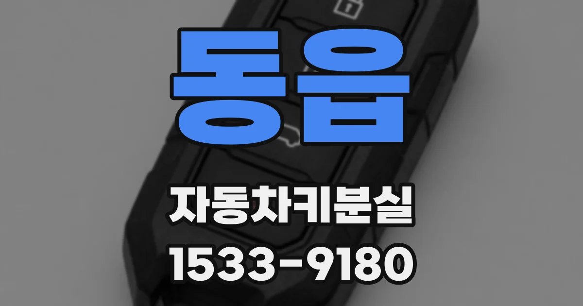 동읍 자동차키분실