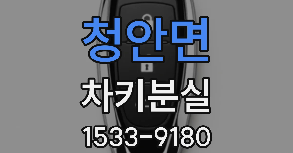 청안면 차키분실