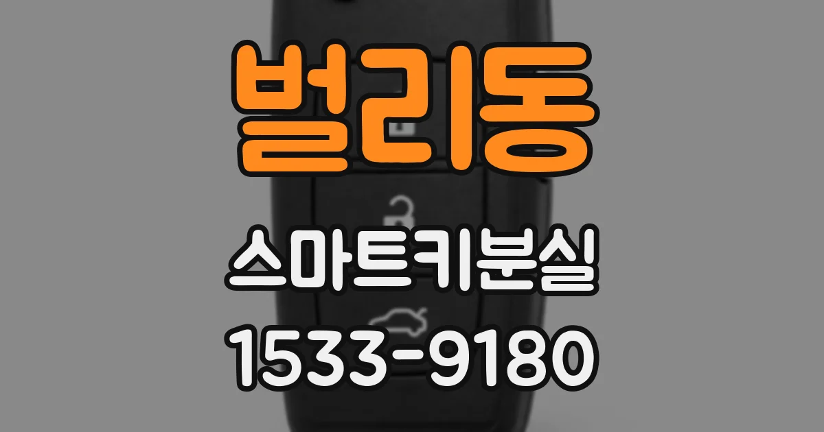 벌리동 스마트키분실