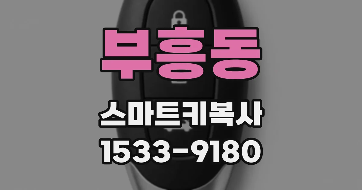 부흥동 스마트키복사