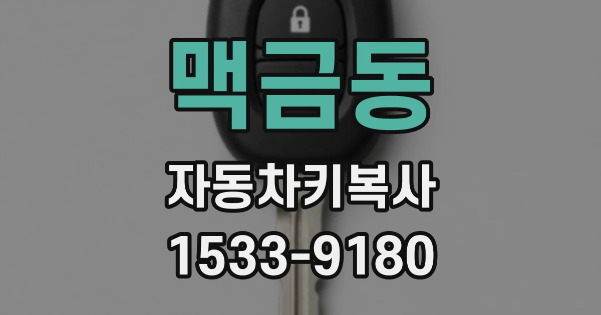 맥금동 자동차키복사
