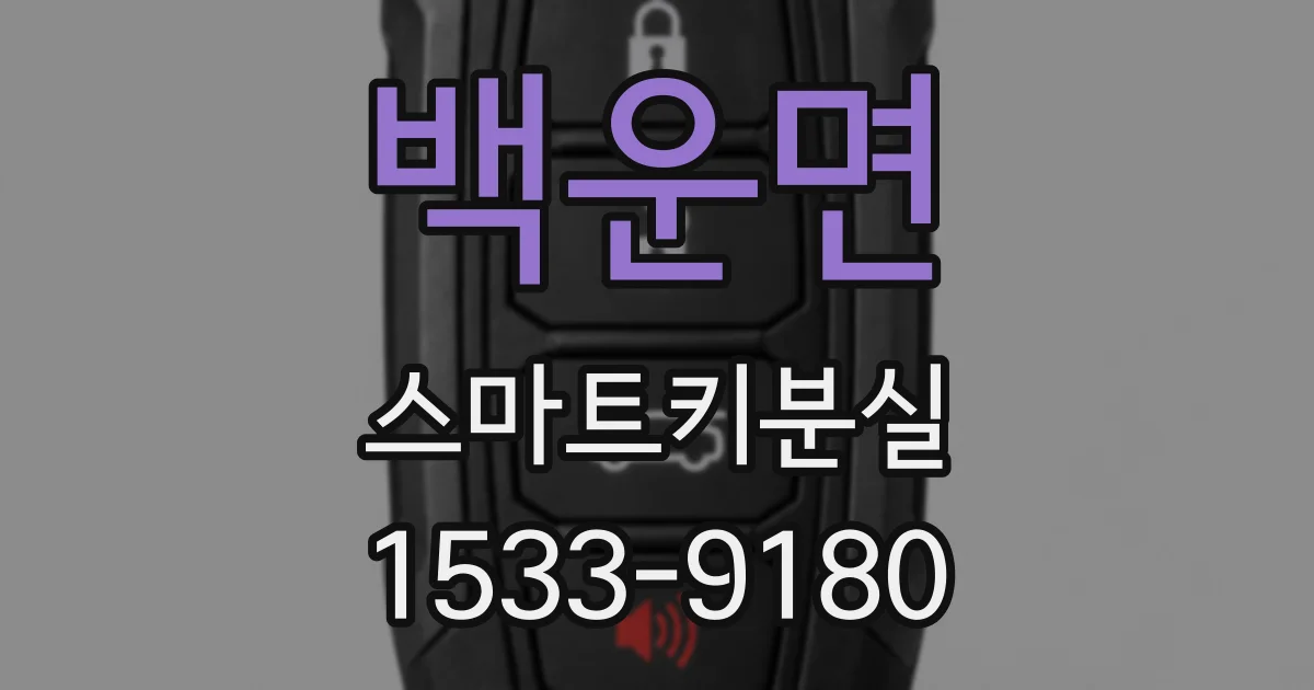 백운면 스마트키분실