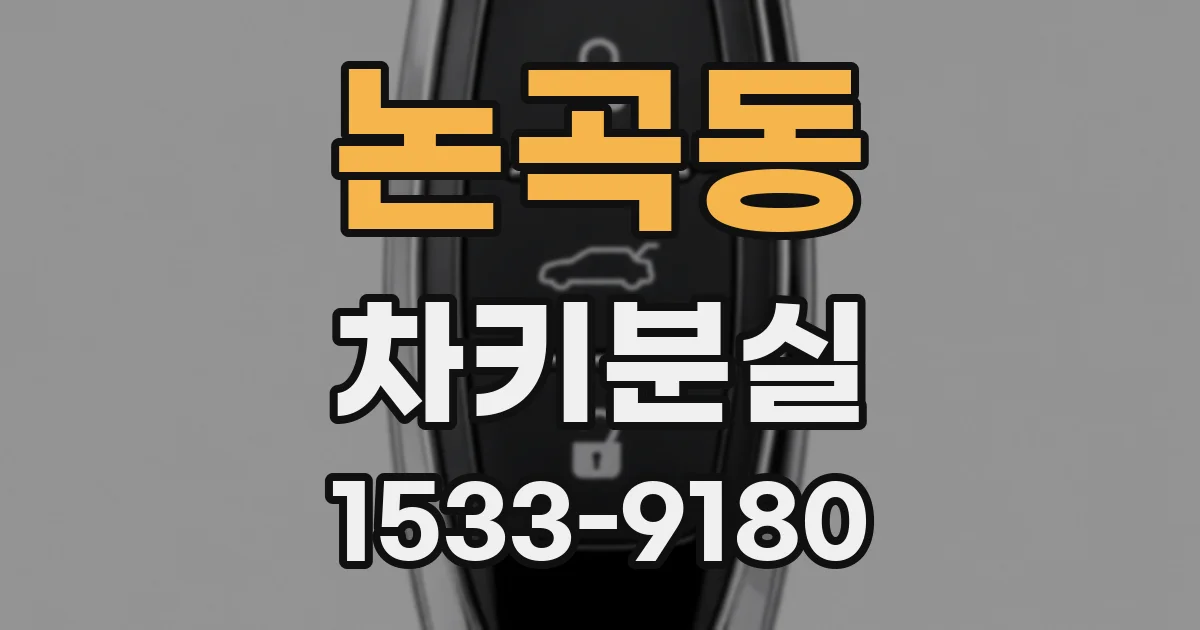논곡동 차키분실