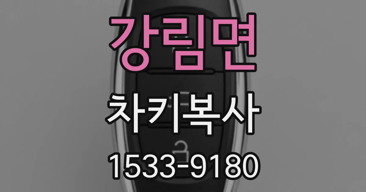 강림면 차키복사