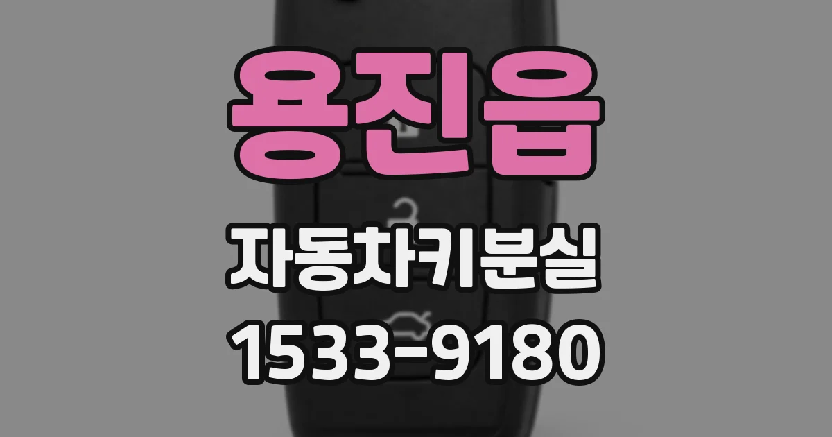 용진읍 자동차키분실