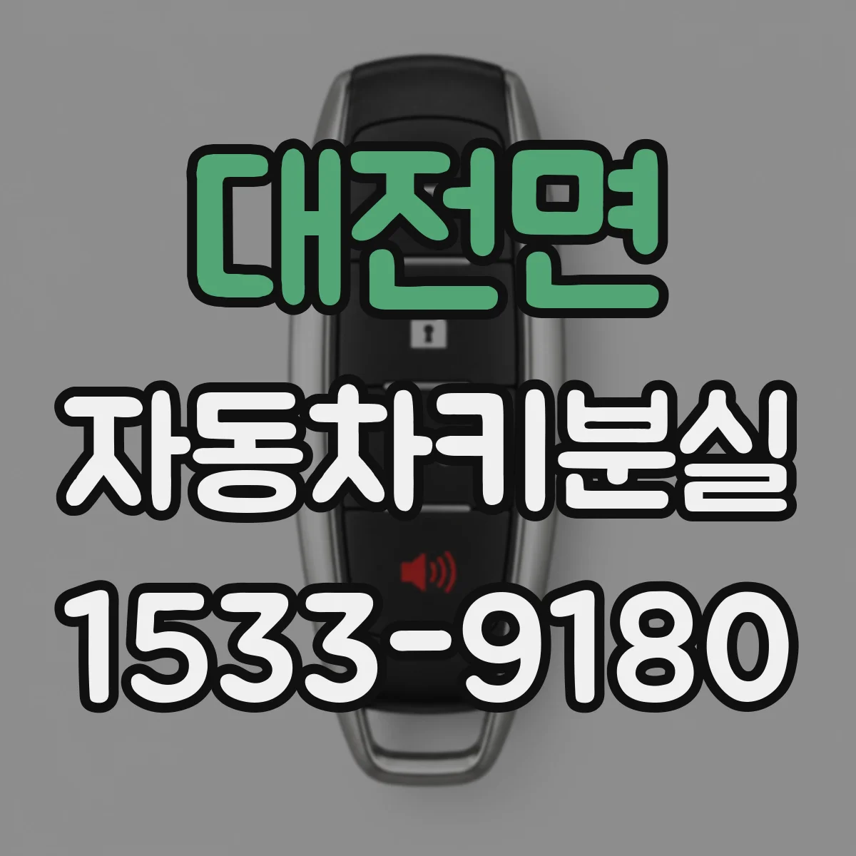 대전면 자동차키분실