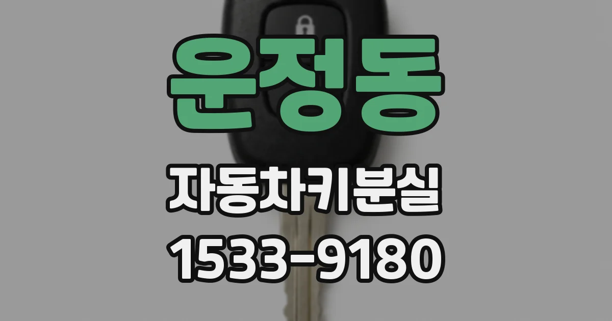 운정동 자동차키분실
