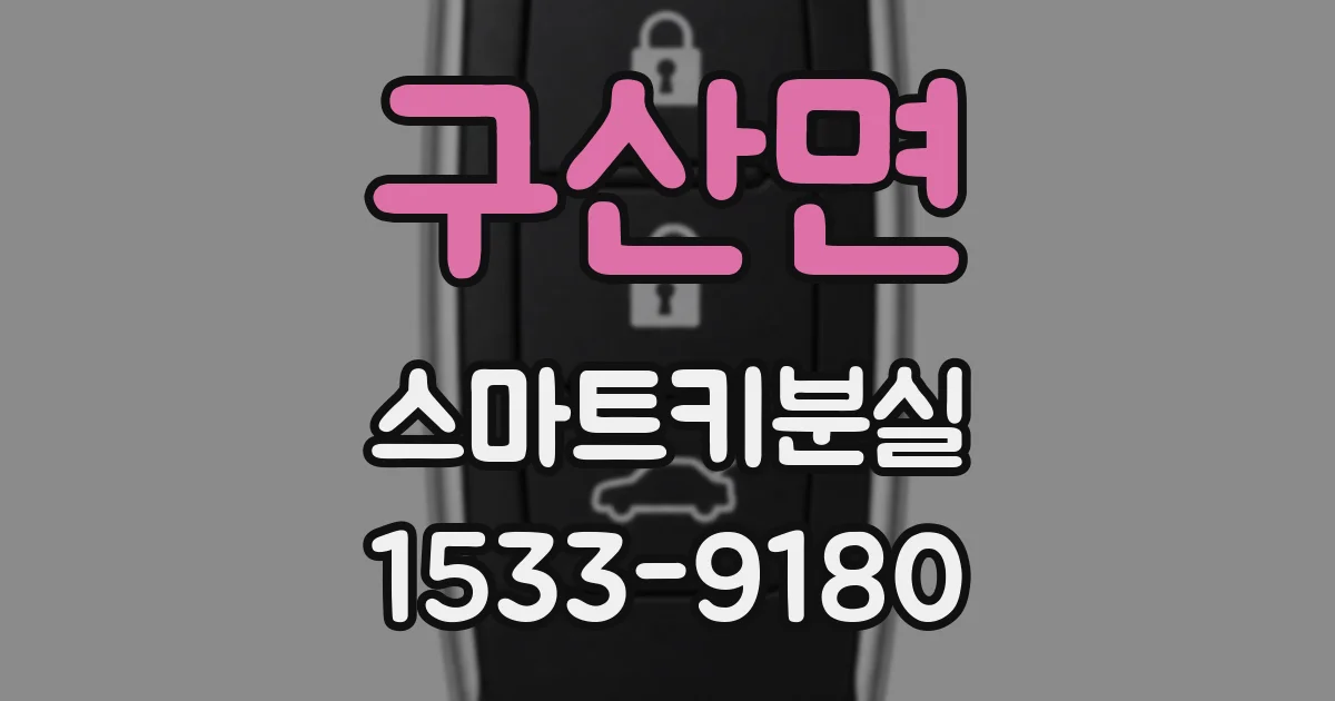 구산면 스마트키분실