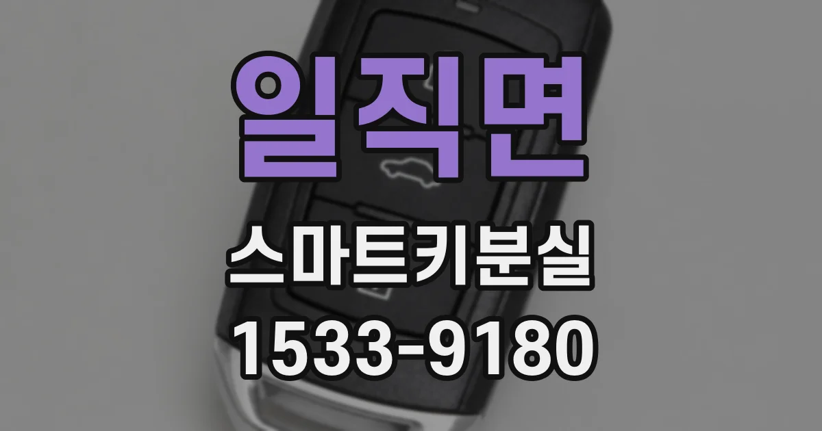 일직면 스마트키분실