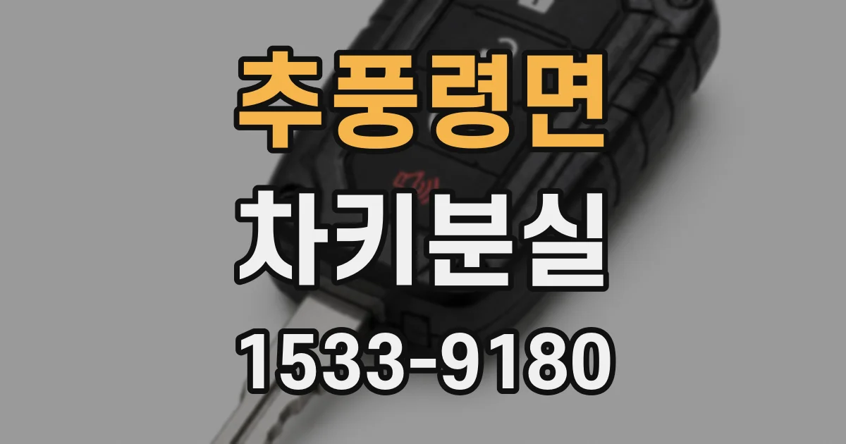 추풍령면 차키분실
