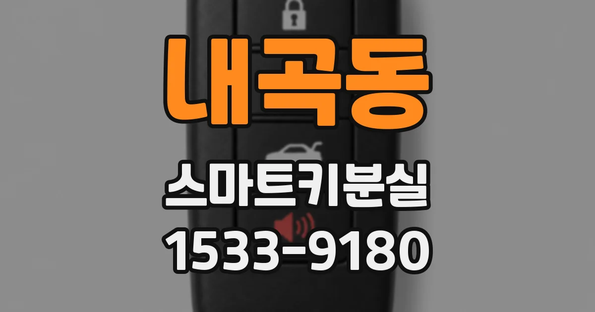 내곡동 스마트키분실