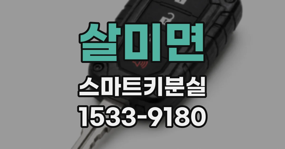 살미면 스마트키분실