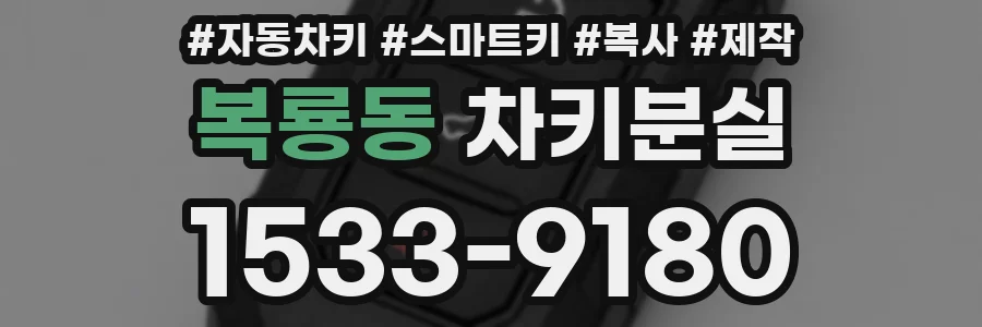 복룡동 차키분실