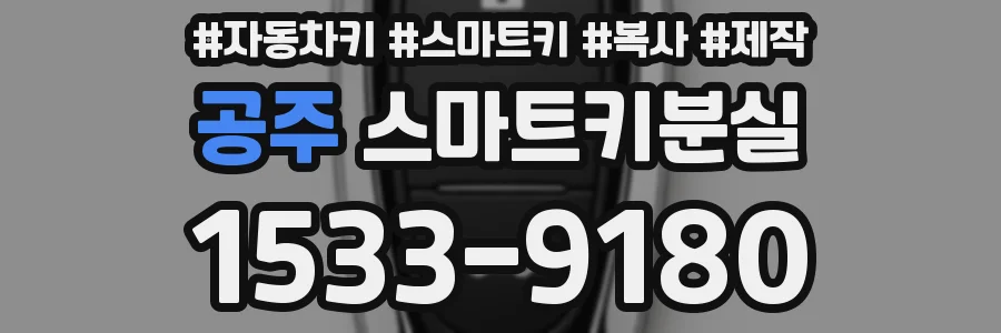 공주 스마트키분실