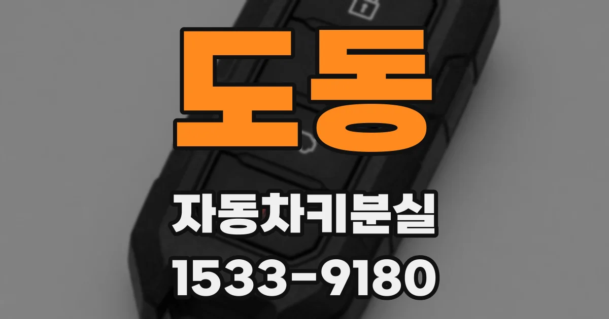 도동 자동차키분실