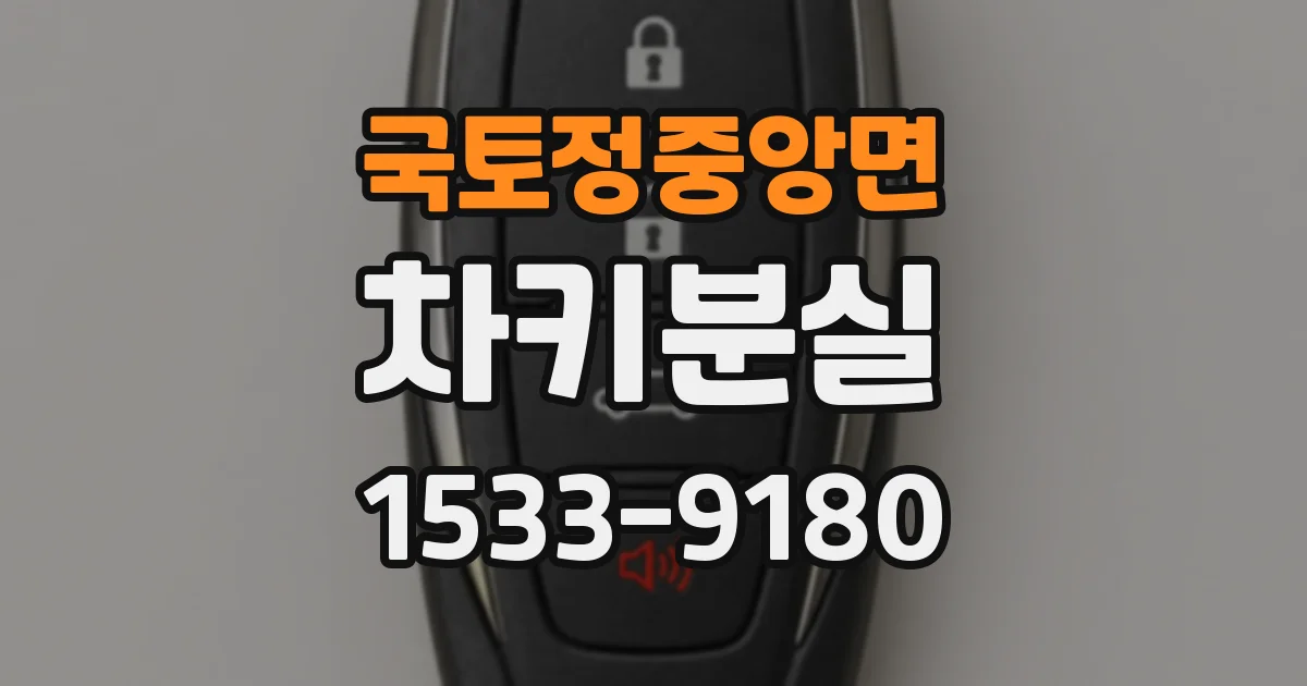 국토정중앙면 차키분실