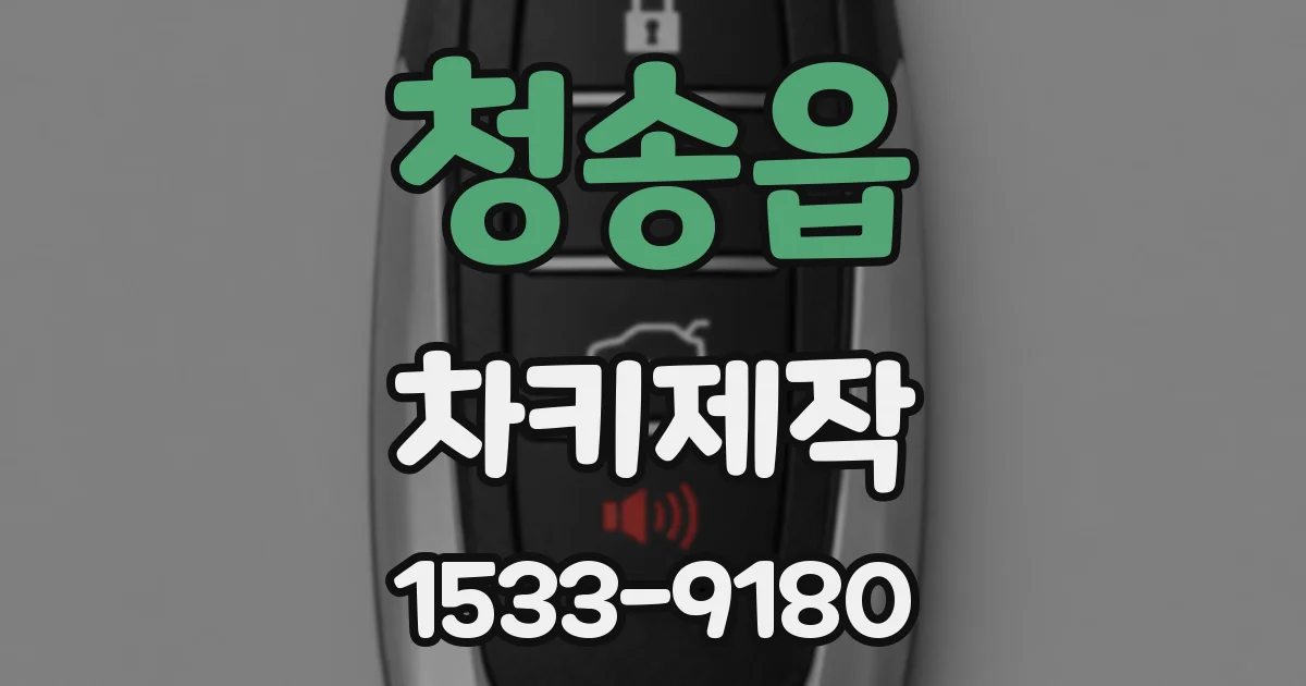 청송읍 차키제작