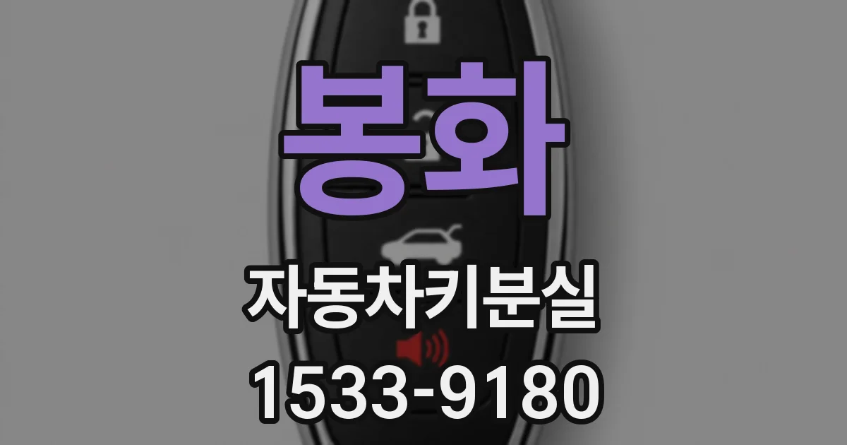 봉화 자동차키분실